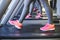 Detail of legs of women running on treadmills, gym