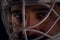 Detail of a male face in a goalie hockey mask.