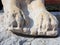 Detail of a Marble Lion Statue, Venice, Italy