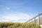 Detail of meadow and blue sky with copy space at the beach in Bergen, Netherlands