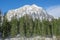 Detail of mountain face with rock, snow and trees near Green lake Grunner see in sunny winter day. Famous tourist destination