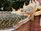 Detail of Naga golden dragon head with big white teeth