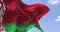 Detail of the national flag of Belarus waving in the wind on a clear day