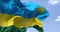 Detail of the national flag of Rwanda waving in the wind on a clear day