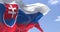 Detail of the national flag of Slovakia waving in the wind on a clear day