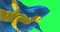 Detail of the national flag of Sweden waving in the wind isolated on green background