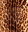 Detail of a ocelot skin