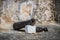 Detail from an Old Cannon at El Morro Castle. Rusty weapon, defending the castle