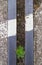 Detail of Old Cast Iron Rail Tracks On Rough Concrete Ground With White Paint and Green Weed