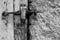 Detail of an old cellar door with a rusted latch next to rough plaster in b/w