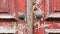 Detail of an old door with flaked paint