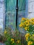 Detail of Old Wooden House Doors and Yellow Flowers