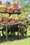 detail of an old wooden wagon