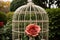Detail of an open birdcage in a rose garden