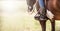 Detail of a ornamented cowboy boots in a stirrup while sitting on a horse