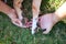 Detail of the paws and hands of the dog`s owners together on the grass. Concept pets. 4th of october world pet day