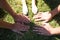 Detail of the paws and hands of the dog`s owners together on the grass. Concept pets. 4th of october world pet day