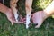 Detail of the paws and hands of the dog`s owners together on the grass. Concept pets. 4th of october world pet day