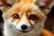 Detail of Pet Fox - Close up shot of a Cute little orange Fox - AI generated