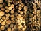 Detail of pile of freshly cut timber logs in sunshine - logging, forestry background