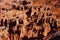 Detail, pinnacles and hoodoos of red Navajo sandstone