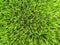 Detail of plastic grass field on football playground. Detail of a cross of painted white lines in a soccer field. Artificial grass