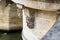 Detail of Pont Neuf bridge in Paris