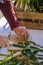 Detail of the preparation of calÃ§ots or tender onions