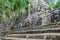 Detail of the pyramid called The Church La Iglesia at the ruins of the Mayan city Coba, Mexi