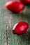 Detail of red hip on green wooden board with worn surface