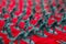 Detail of the Remembrance park in Buenos Aires, Argentina