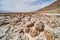 Detail of rocky salt formations in Death Valley salt flats