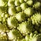 Detail of Romanesco broccoli, also known as Roman cauliflower