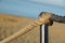 Detail of rope railing of beach walkway, old metal pole, seaside vacation, tranquility, relaxation,