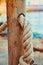 Detail of rope railing of beach walkway, old wooden pole, blue sea sand in the background, seaside vacation