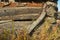 Detail of rotting log barn and wagon yoke