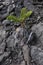 Detail, rough lava from ancient volcanic eruption,