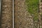 Detail of rural train track near green grass road vegetation