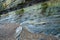 Detail of Saltpan Rocks Cliff Face