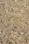 Detail of sand texture with small stones