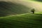 Detail scenery at South Moravian field during spring, Czech republic.