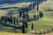 Detail of scenic road edged by cypress trees in the Tuscan countryside near Monticchiello, Siena, Italy