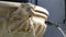 Detail of sculpted face of mouth of a lion in a public fountain pouring water