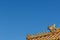 Detail of sculptures in the rooftop of a building at the Forbidden City in Beijing, China,