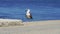 Detail of a seagull and the Tagus river, Near Lisbon, Portugal