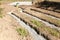 Detail of a secondary filter bed on a septic tank installation