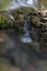 Detail from shallow mountain stream, water flows between wet mossy stones