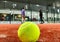 Detail shot of a paddle ball on the floor of the indoor paddle tennis court