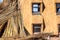 Detail shot of reed grass used for building thatched roof houses.