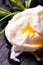 Detail of single poached egg on slate stone